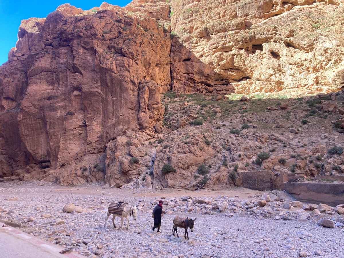Meharee Maroc : Randonnée entre amis