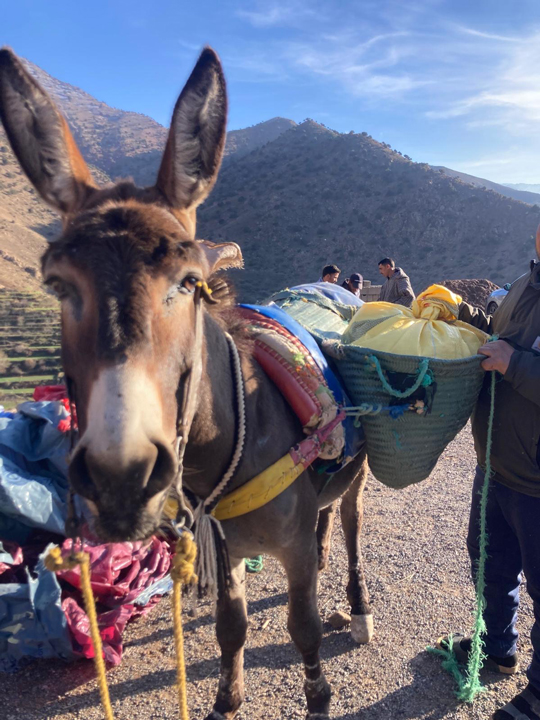 Meharee Maroc : Randonnée entre amis