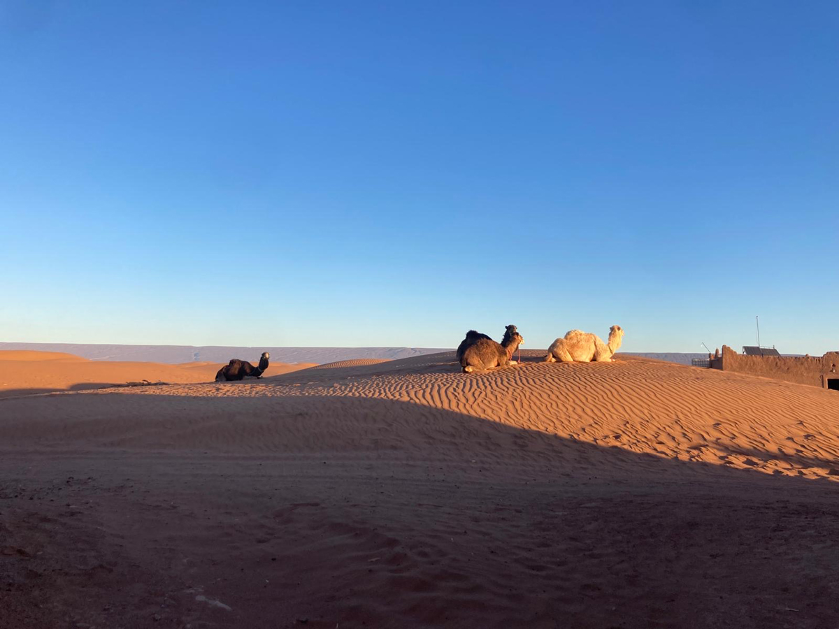 Meharee Maroc : Randonnée entre amis